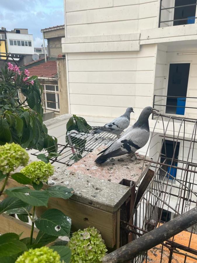 اسطنبول Central Apartment Kadikoy Terrace Bbq Close 2 Block Ferry Bull Metro Nighlife المظهر الخارجي الصورة