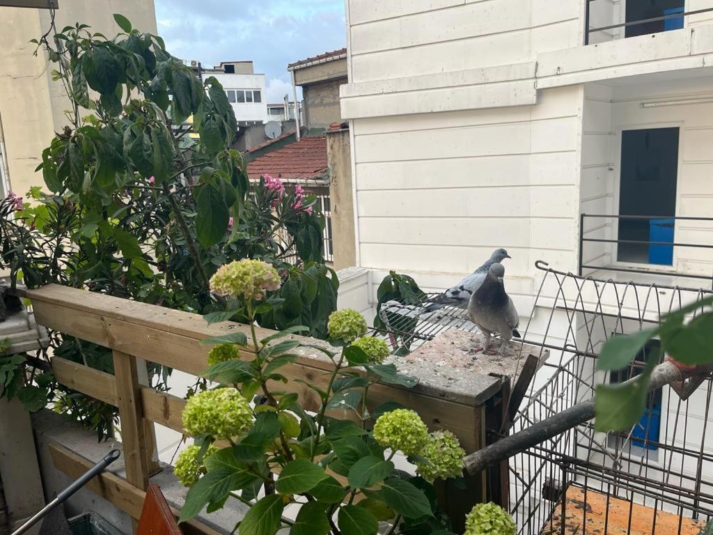 اسطنبول Central Apartment Kadikoy Terrace Bbq Close 2 Block Ferry Bull Metro Nighlife المظهر الخارجي الصورة