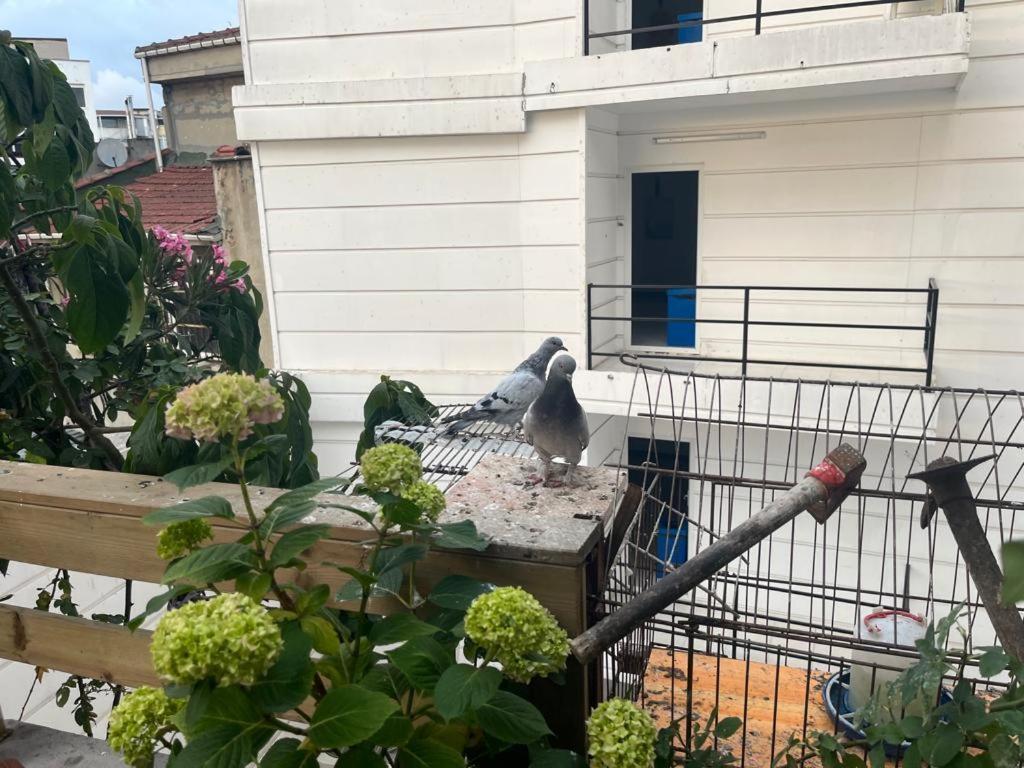اسطنبول Central Apartment Kadikoy Terrace Bbq Close 2 Block Ferry Bull Metro Nighlife المظهر الخارجي الصورة